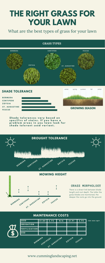 picking the best grass for your lawn infographic