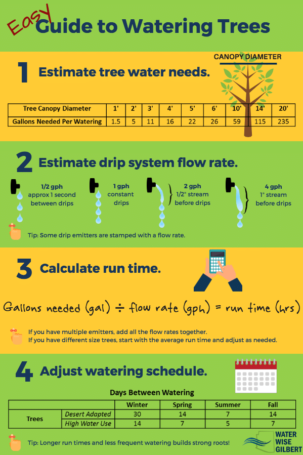 tree watering guide