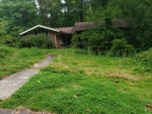 Before massive cleanup and tree trimming in Cumming GA - heavily overgrown backyard with dense brush and shrubs