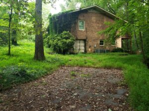 Before extensive shrub and tree trimming project in Cumming Georgia - thick overgrown brush covering the property